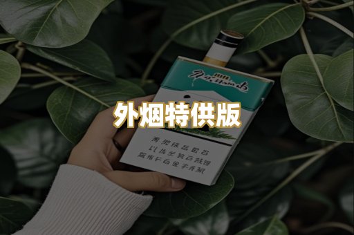 外烟特供版